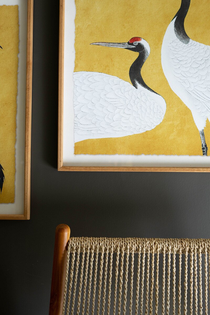 Framed Heron Prints Under Glass