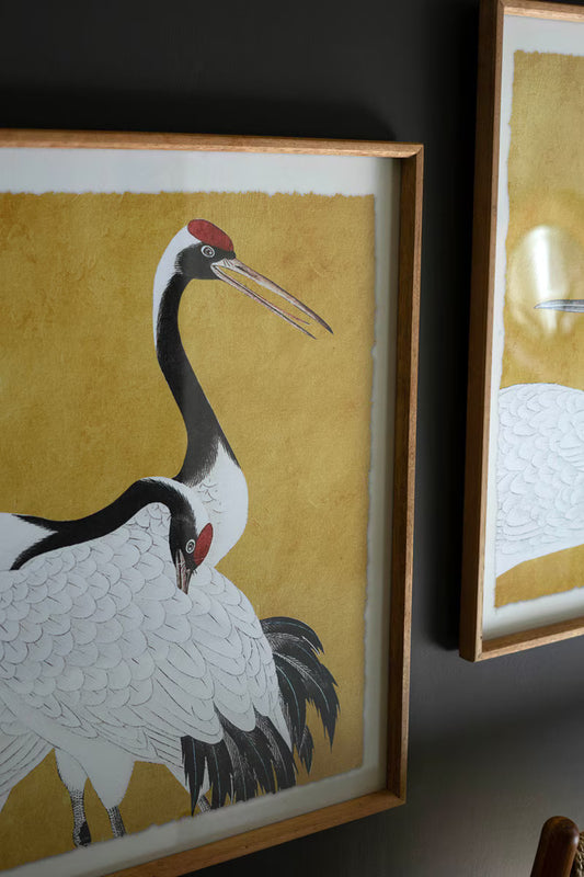 Framed Heron Prints Under Glass