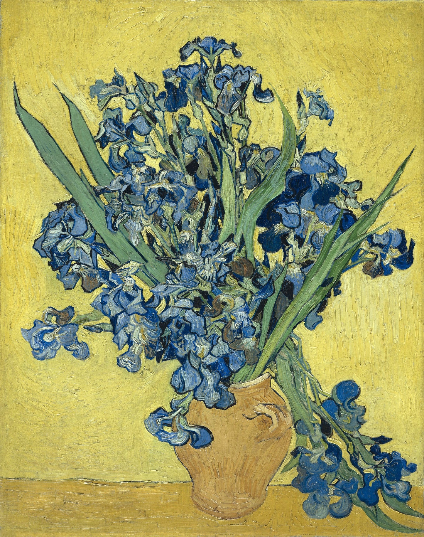 vincent van gogh irises fine art museum print