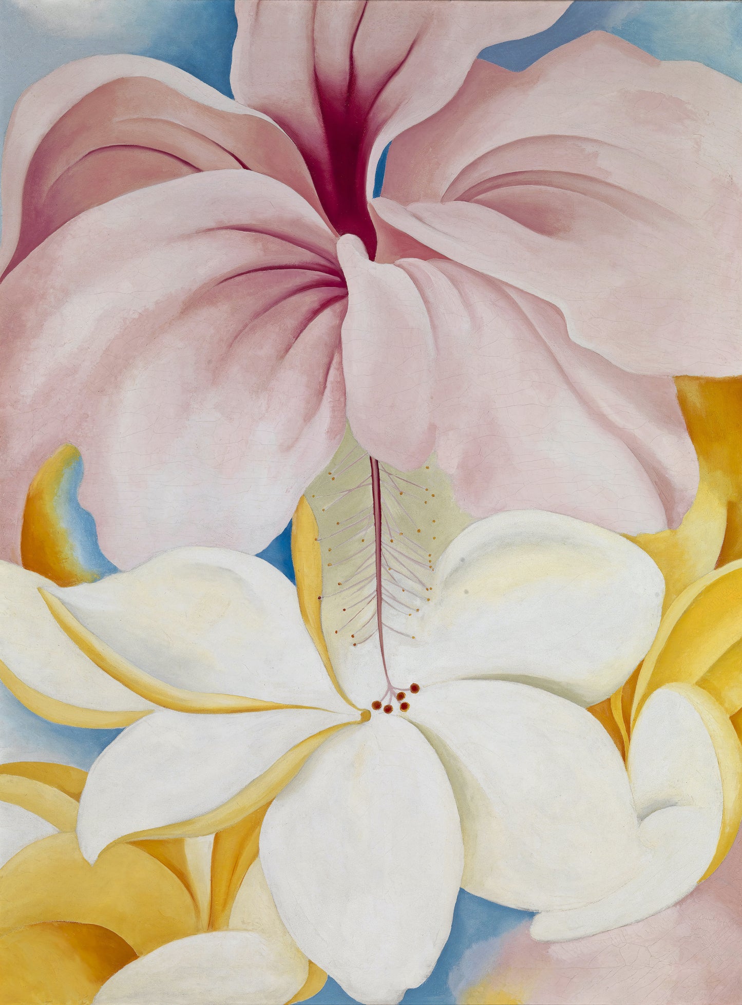 georgia o'keeffe hibiscus and plumeria fine art museum print