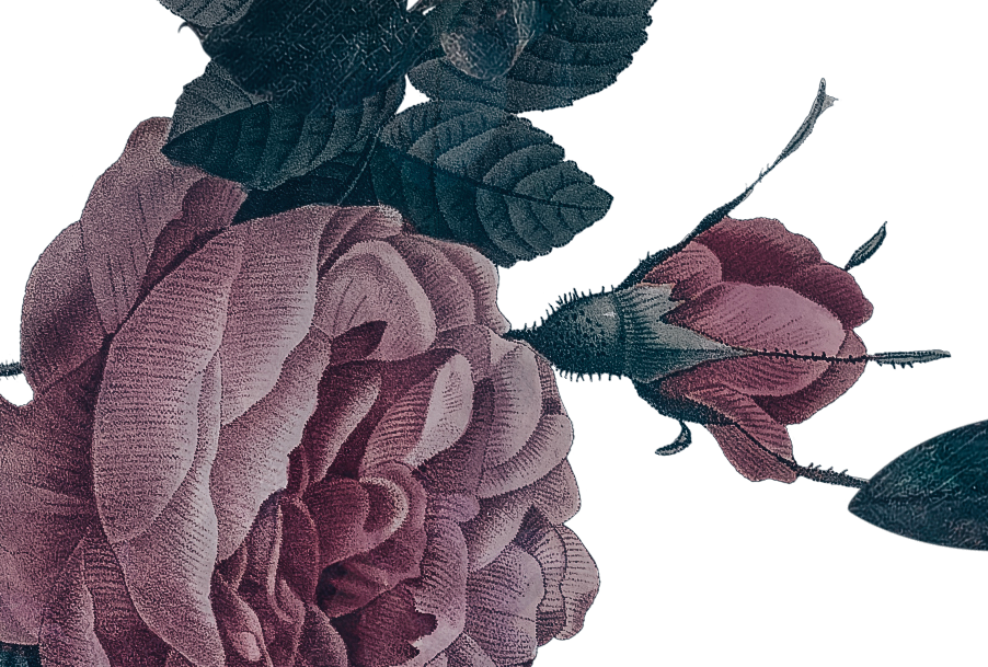 Dark Garden | Duvet