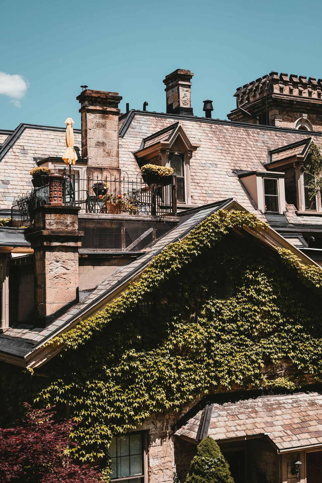 Luxury Wallpaper: Elevate High-End Residential & Commercial Spaces