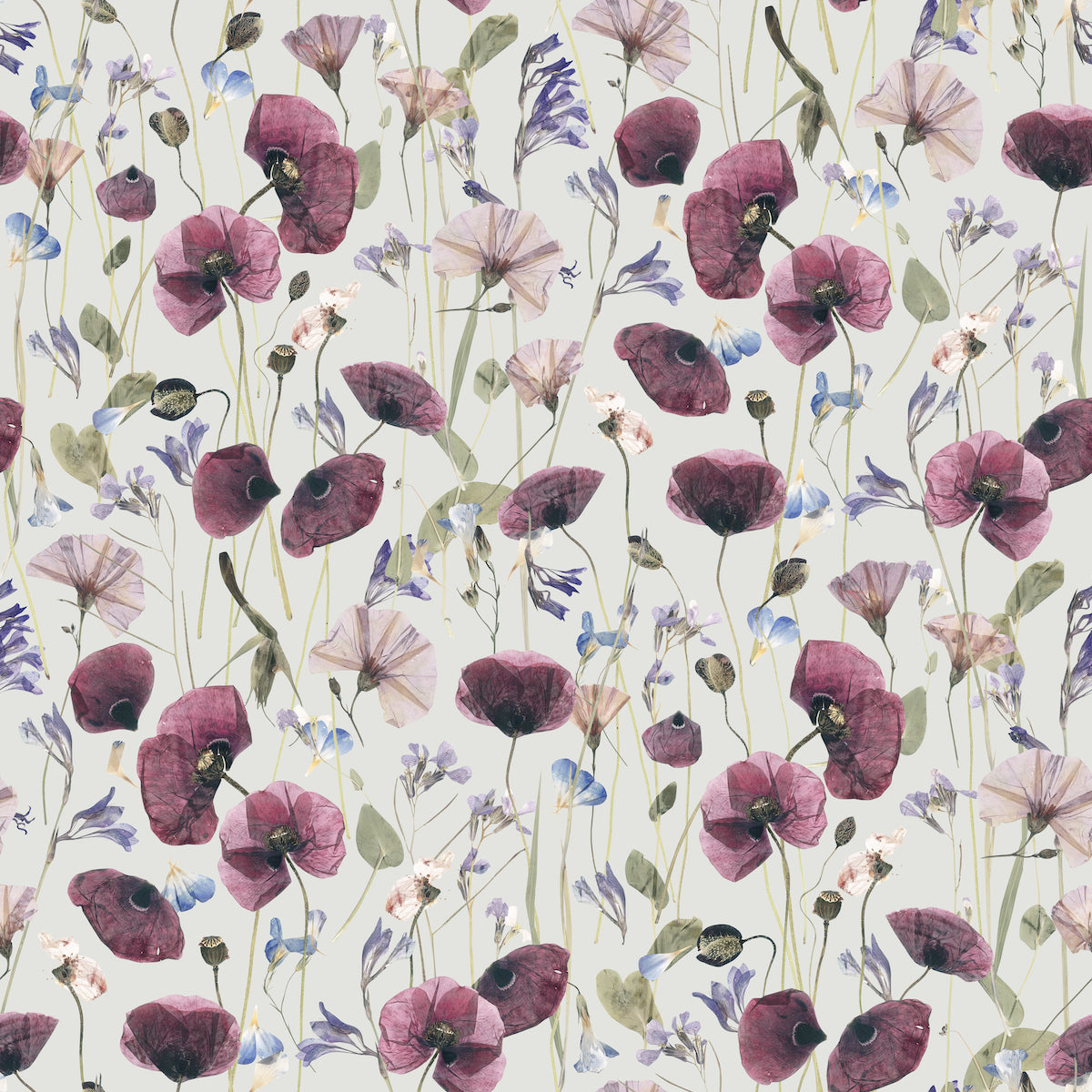 Summer Meadow | Clay Coated | Wallpaper
