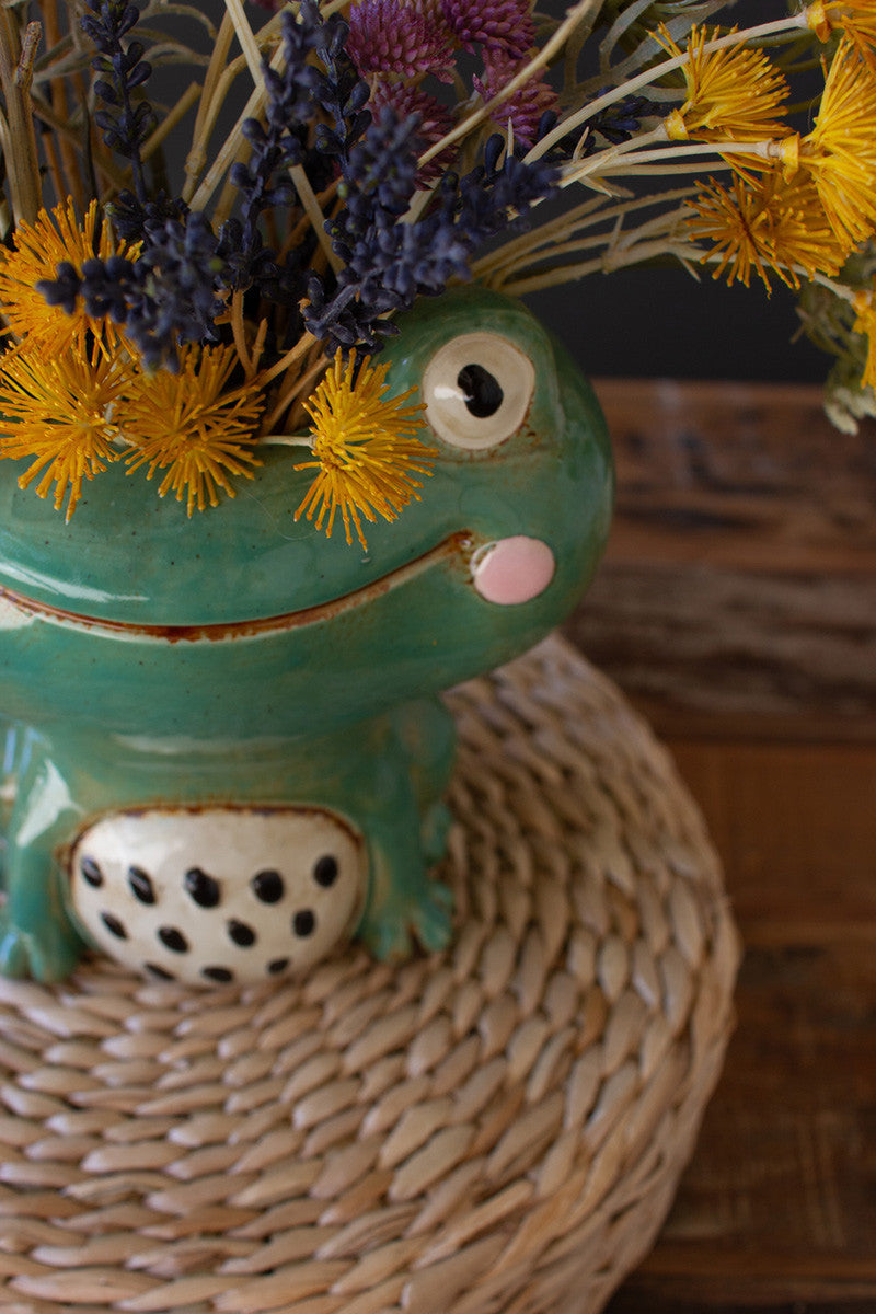 Ceramic Quirky Frog Planter