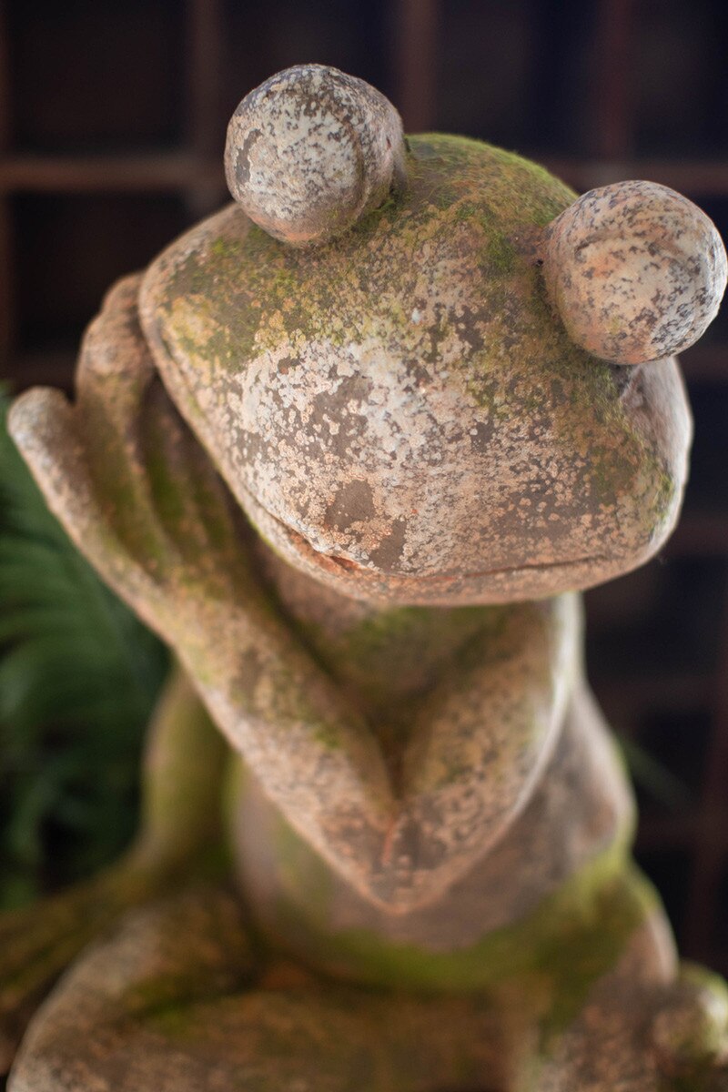 Faux Concrete Frog