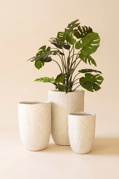 White Textured Planters, Set of 3 | Modern Indoor Plant Pots