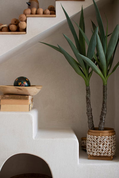 Arched Step-Style Display Shelf