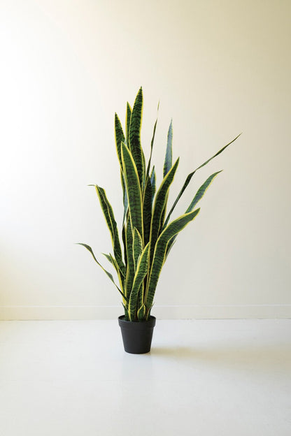 Artificial Snake Plant | 54" Mother-In-Law Tongue in Black Pot
