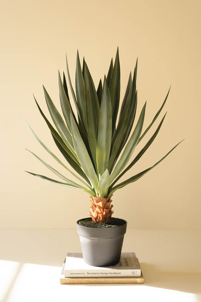 Artificial Sisal Plant in Black Pot | 29" Faux Plant