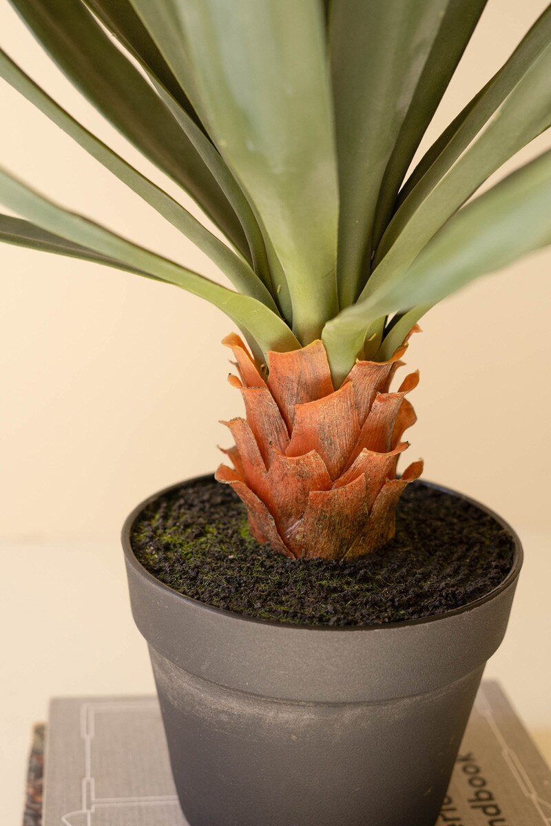 Artificial Sisal Plant in Black Pot | 29" Faux Plant