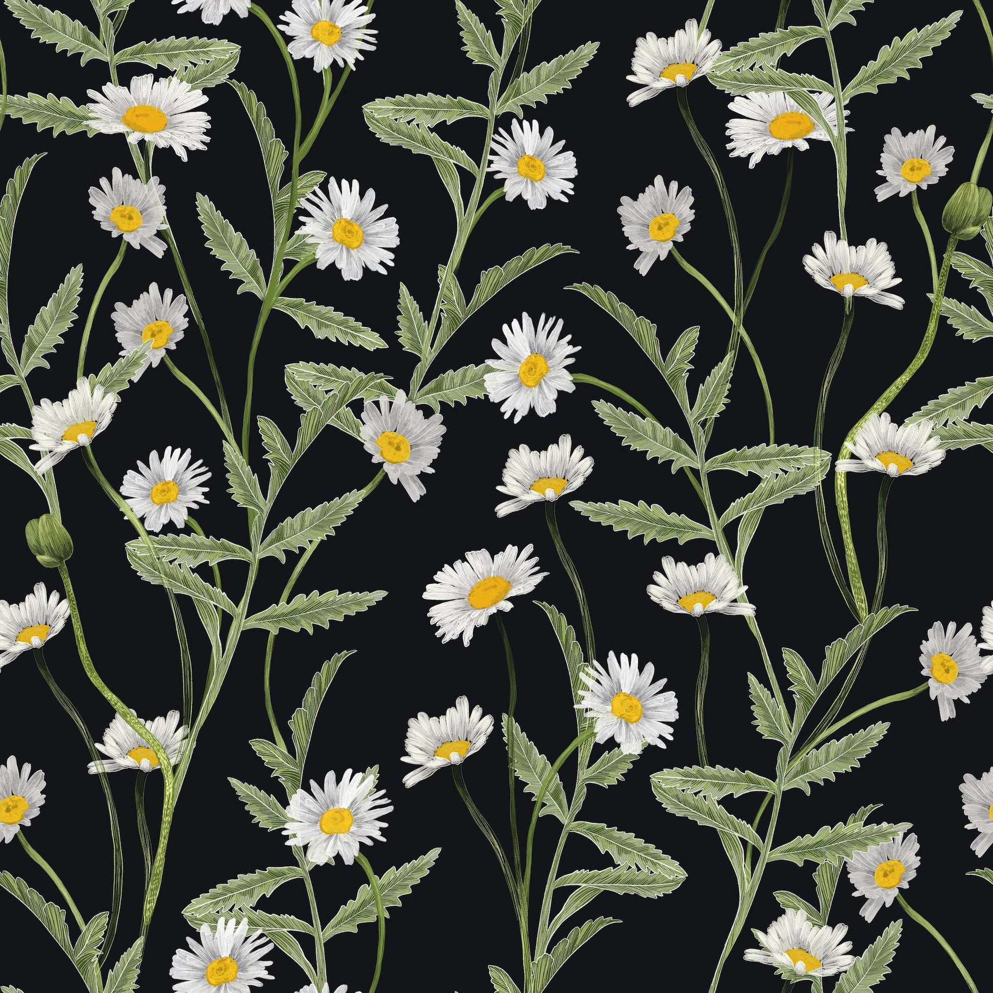 white daisy black floral wallpaper peel and stick