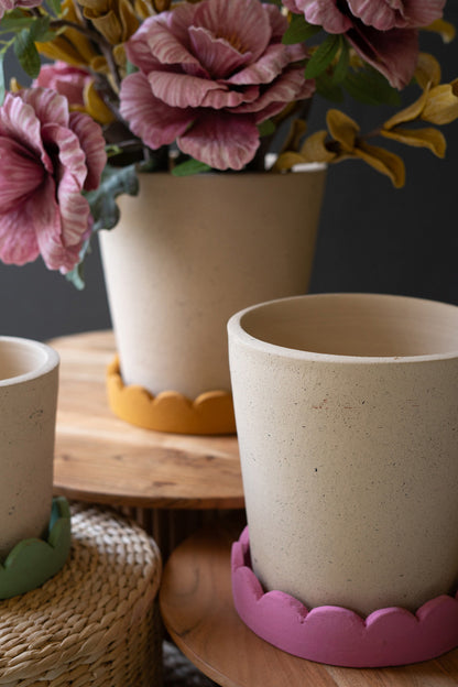 Planters with Scalloped Trays, Set of 3