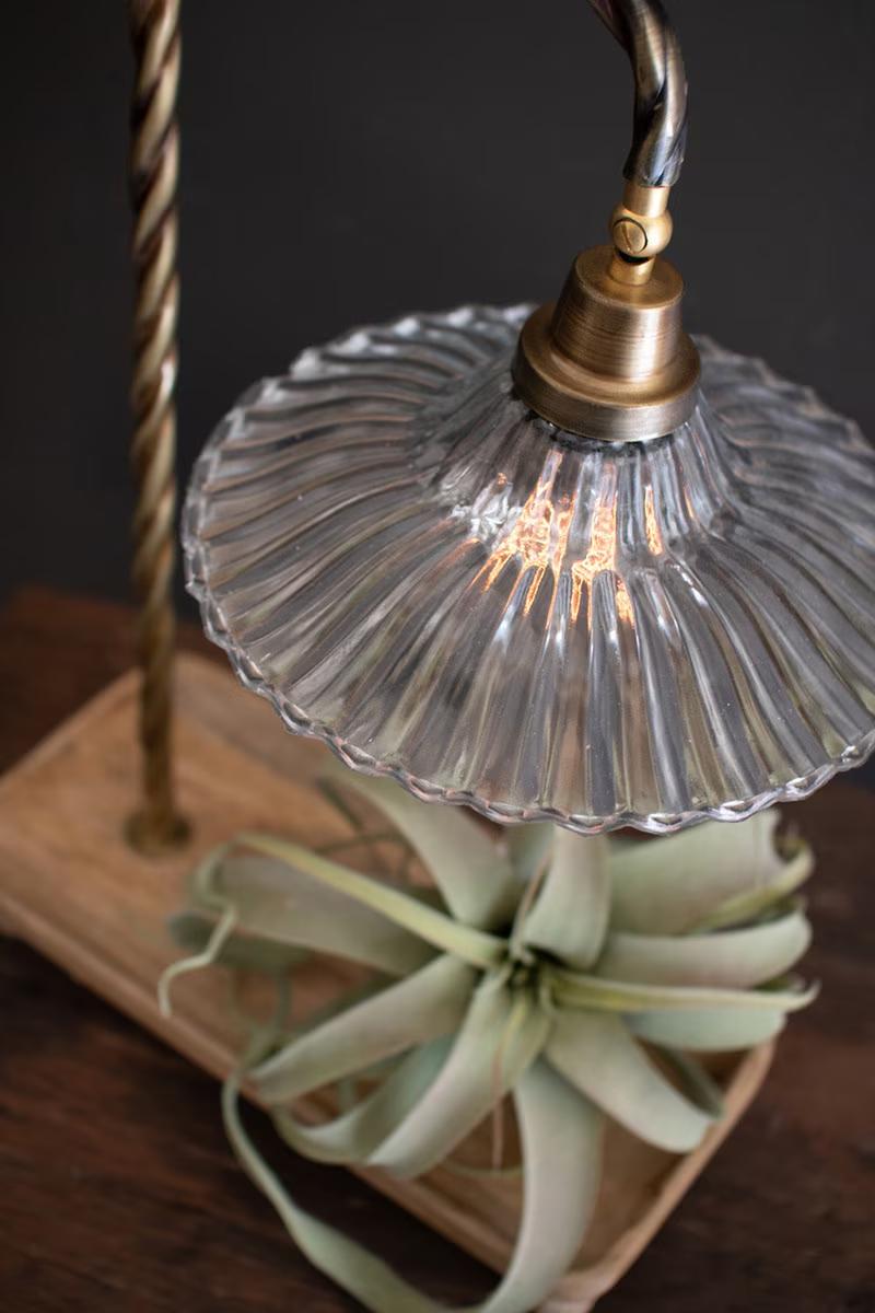 Glass Gooseneck Table Lamp