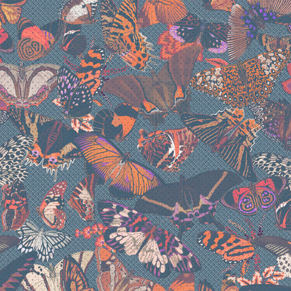 Papilio | Luxe Traditional Wallpaper