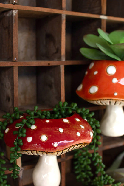 Toadstool Mushroom Wall Planters