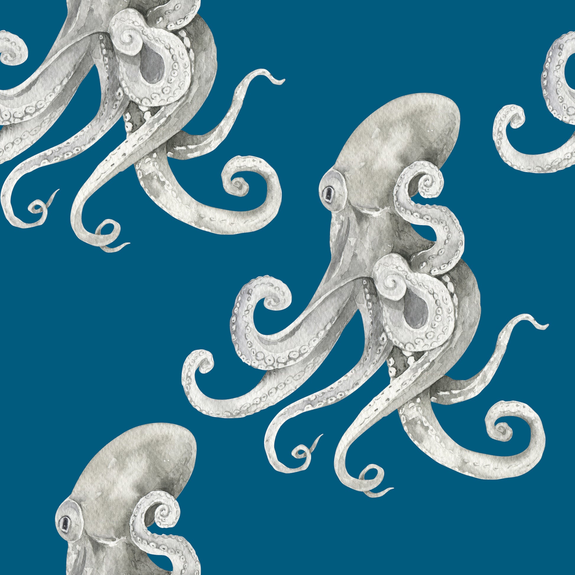 ocean octopus kraken wallpaper blue removable peel and stick