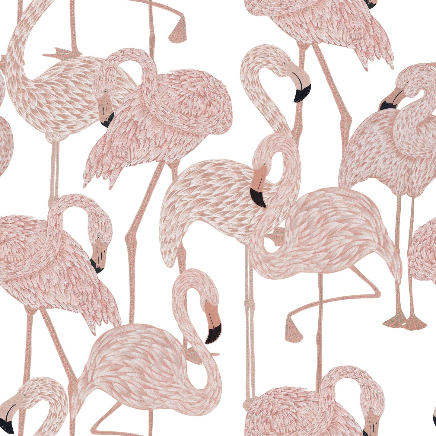 Florida Flamingo | Throw Pillow